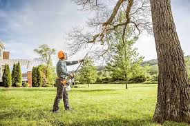 Best Storm Damage Tree Cleanup  in Southchase, FL